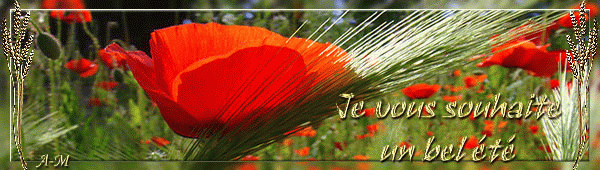 Vers le menu des cartes